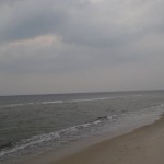 Denemarken 2008