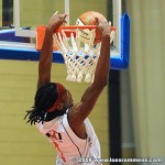 Tim Blue dunk